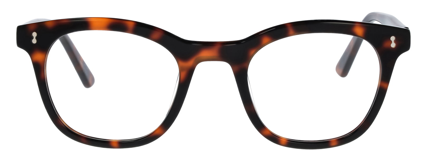 Das Bild zeigt die Eyebar Brille Köln in havana von vorne.